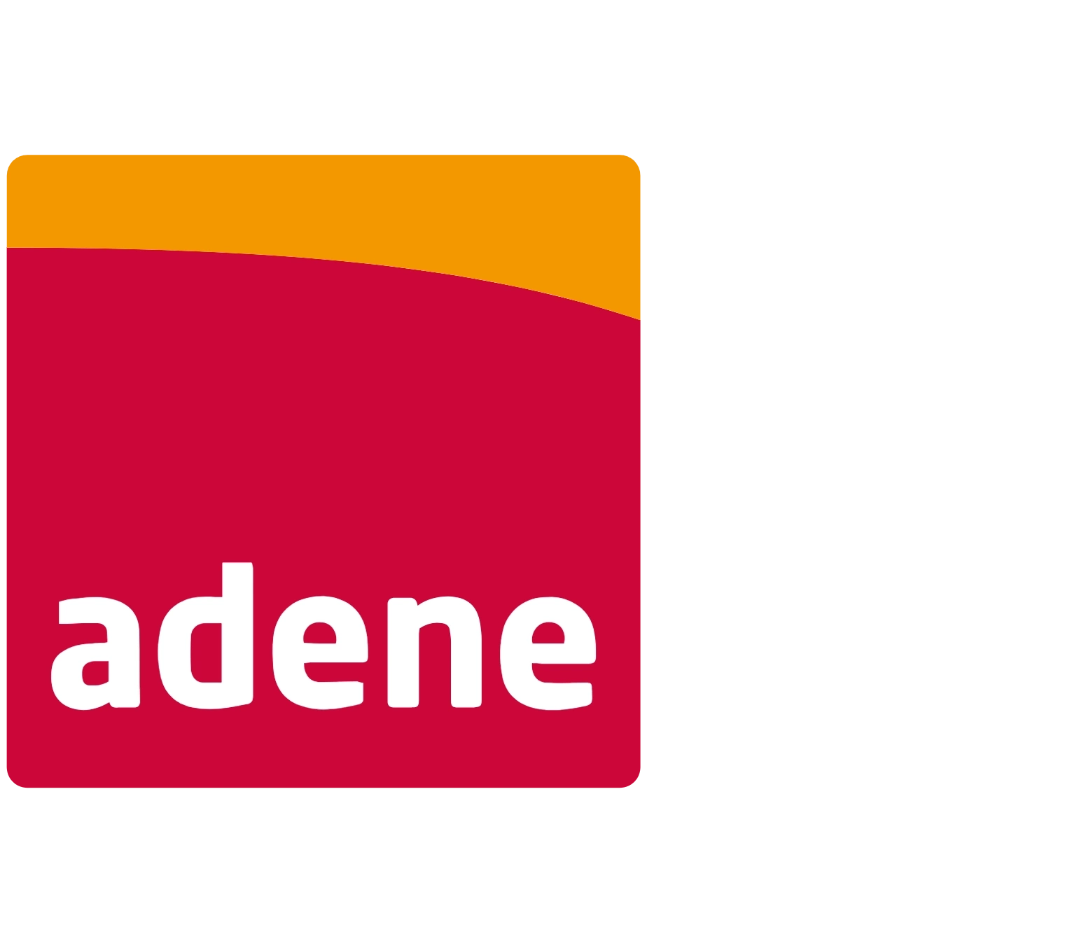 entidade gestora ADENE, Agência para a Energia