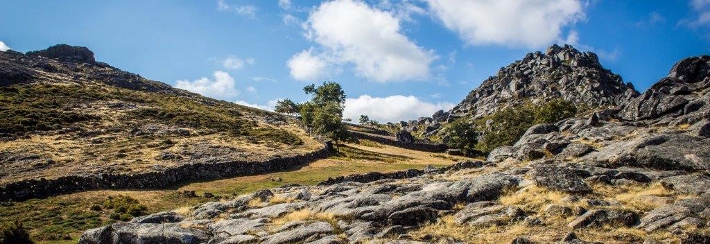 Certificação Energética Arouca