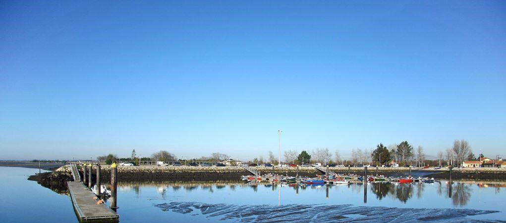 Certificação Energética Murtosa