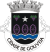 Certificado Energético Gouveia