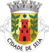 Certificado Energético Seia