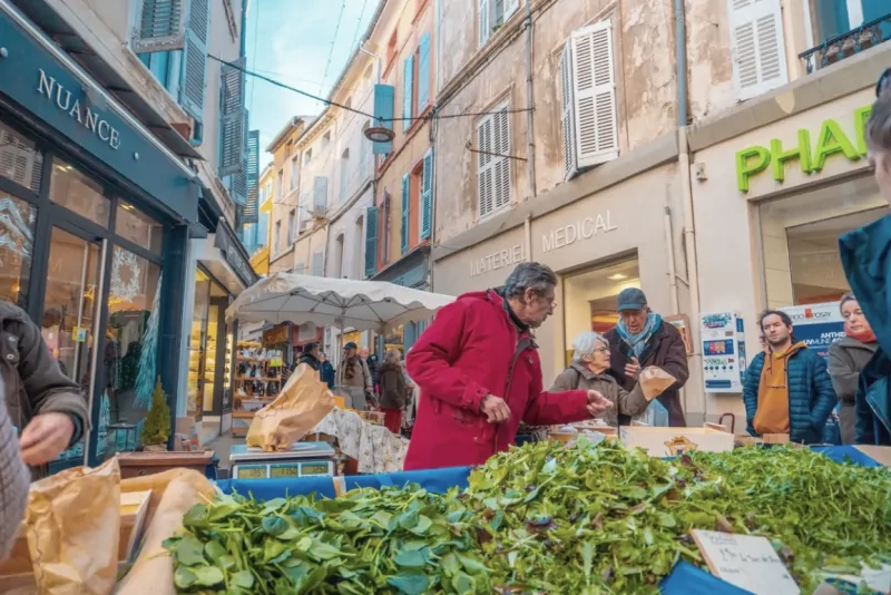 Certificado Energético para Comércio e Serviços