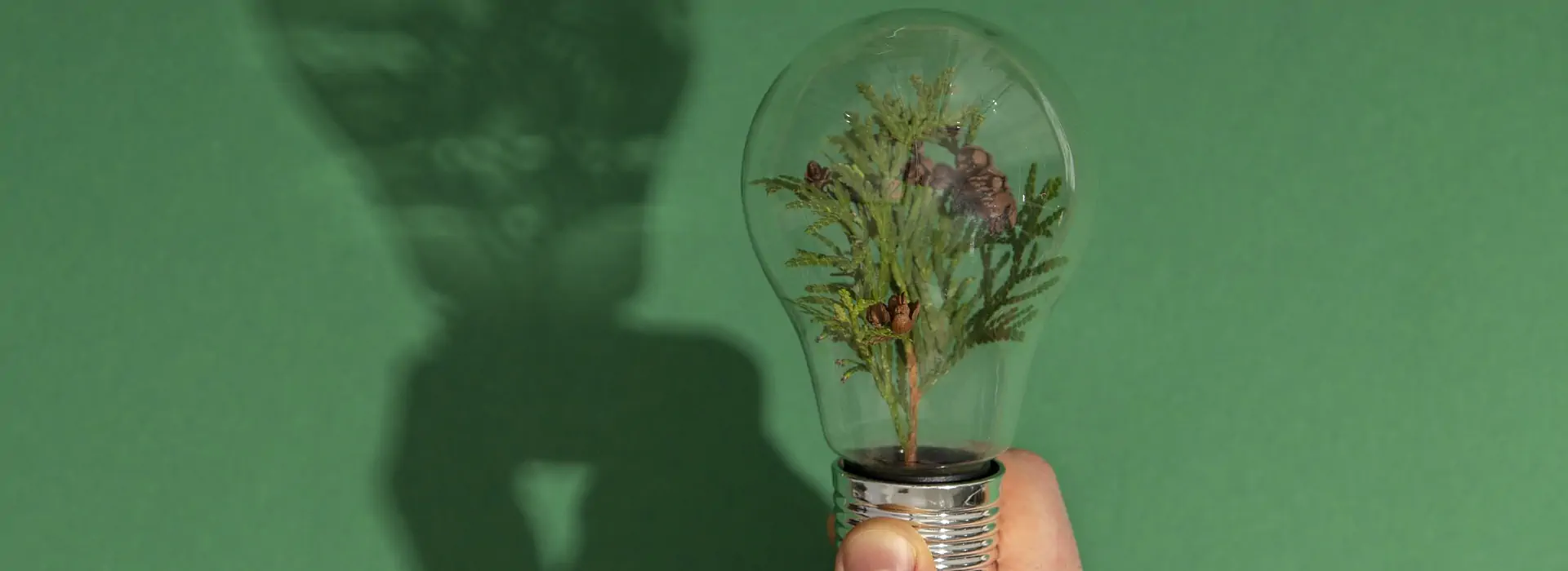 Tudo sobre o certificado energético